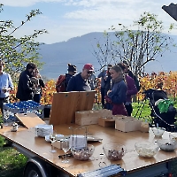 22 IMG-20221029-WA0027 Riedenwanderung mit Wein