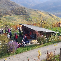23 IMG-20221029-WA0029 Riedenwanderung mit Wein
