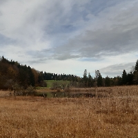 20221026_122500