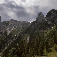 20230722_120639 Rauhern, Eiblschneid Schönberg