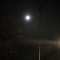 Maibaum