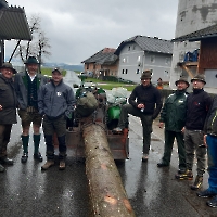 Maibaumtransport