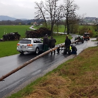 Maibaumtransport