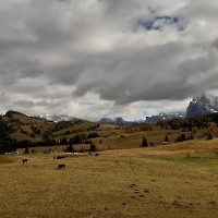 09 20231027_111618 Seiseralm