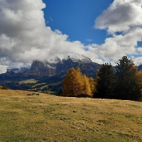 12 20231027_123518 Lang- und Plattkofel