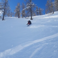 Tauplitz