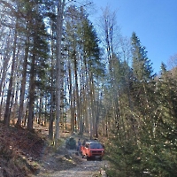 Maibaum Transport