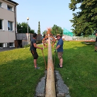 Maibaumumlegen