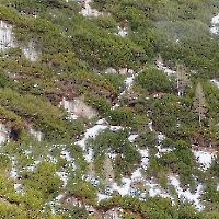IMG-20250325-WA0013
