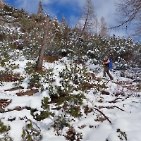 IMG-20250325-WA0023