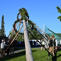 Maibaum